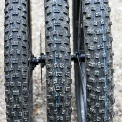 Drei breite Ballonreifen eines Mountainbikes mit grobem Profil und blauer Mittellinie. Bereit für jedes Gelände.