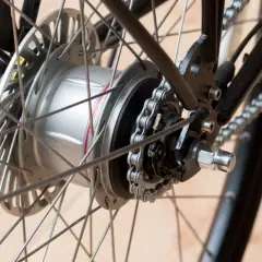Nahaufnahme des Hinterrads eines Fahrrads mit einer silbernen Nabenschaltung, die für reibungslose Gangwechsel sorgt.