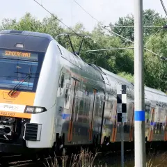 Der Rhein-Express fährt auf einer Sonderfahrt durch eine grüne Landschaft.