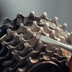 Nahaufnahme einer Fahrradkassette. Ein Schraubendreher berührt die Zähne. Mögliche Symptome einer zu langen Fahrradkette sind schleifende Gänge.