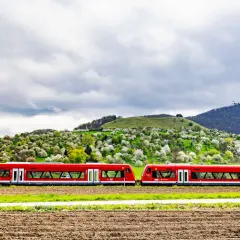 Zwei rote Regionalzüge fahren durch eine blühende Landschaft. Mit dem Deutschlandticket darf man solche Züge für Ausflüge nutzen.