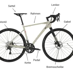 Das Bild zeigt ein Fahrrad mit Beschriftungen für verschiedene Fahrradteile. Man sieht Sattel, Rahmen, Lenker, Gabel, Felge, Ventil, Kette, Pedal, Bremsscheibe und Speichen.