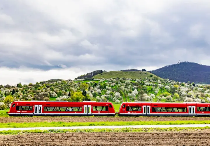 Zwei rote Regionalzüge fahren durch eine blühende Landschaft. Mit dem Deutschlandticket darf man solche Züge für Ausflüge nutzen.