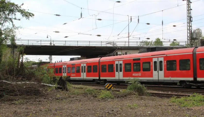 Roter re8 NRW Zug fährt unter einer Brücke hindurch, umgeben von Grün und Oberleitungen.