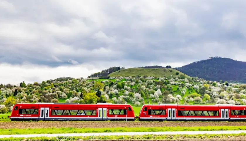 Zwei rote Regionalzüge fahren durch eine blühende Landschaft. Mit dem Deutschlandticket darf man solche Züge für Ausflüge nutzen.