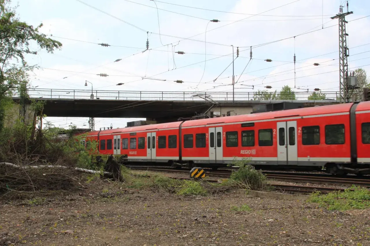 Roter re8 NRW Zug fährt unter einer Brücke hindurch, umgeben von Grün und Oberleitungen.