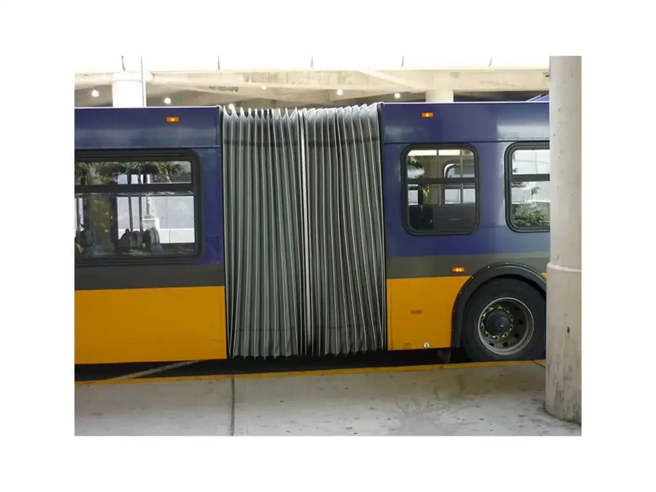 Ein blauer und gelber ziehharmonika bus steht an einer Haltestelle.