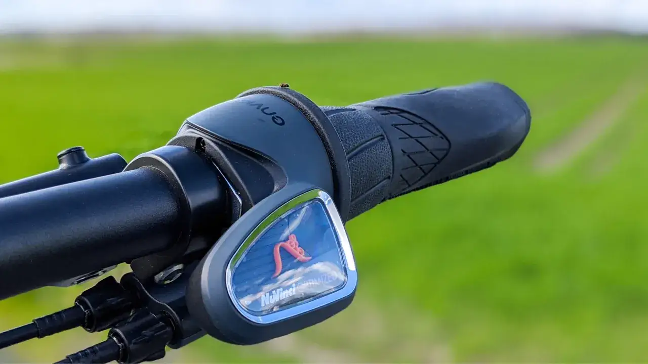 Nahaufnahme des Lenkers mit einer enviolo Schaltung. Ein kleiner Käfer krabbelt auf dem Griff.