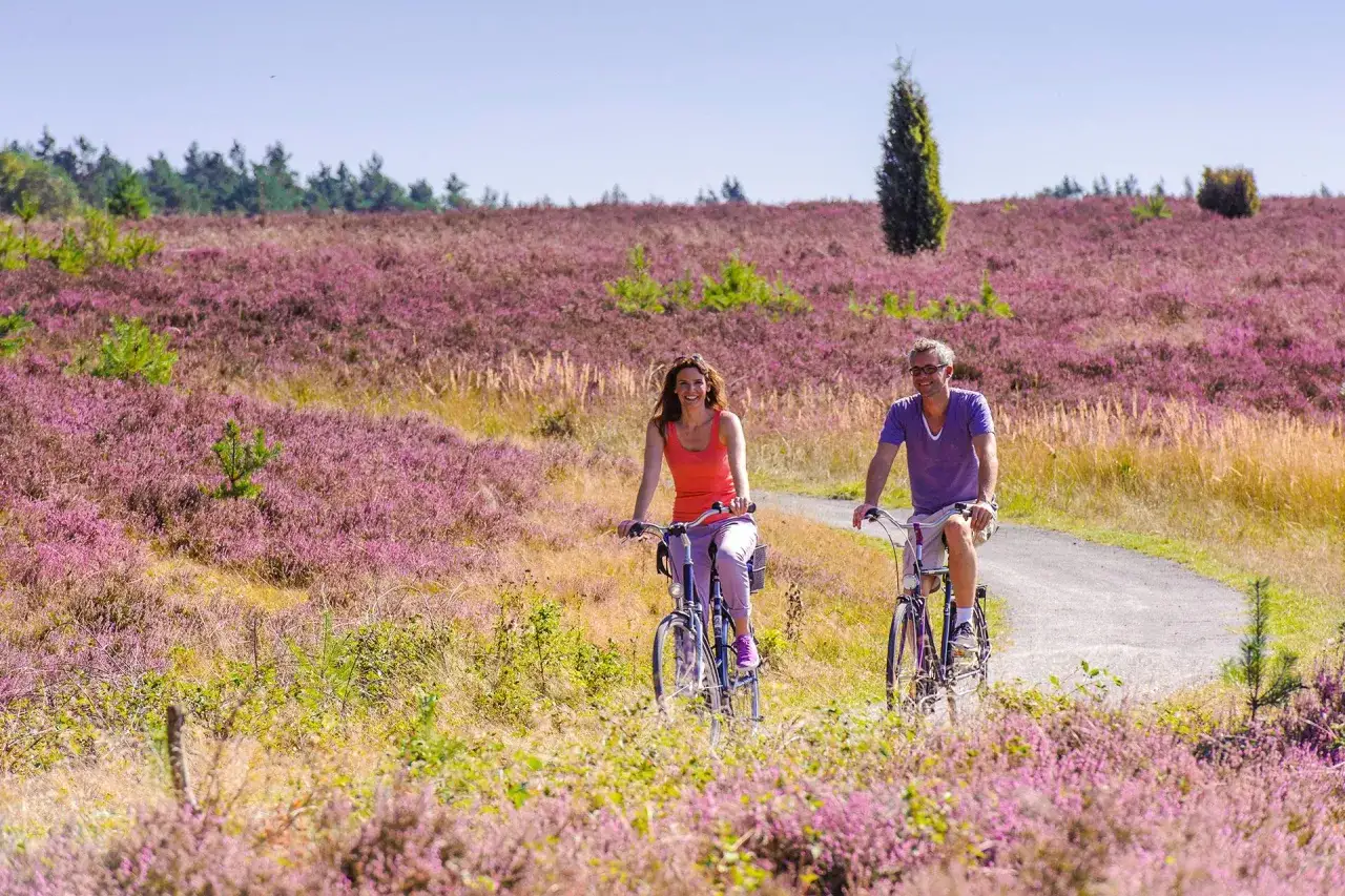 Ein Paar genie&szlig;t eine Radtour durch bl&uuml;hende Heidefelder in Niedersachsen.